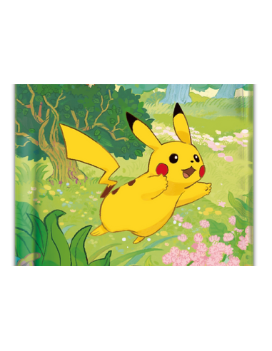 Coffret Pokémon Pikachu exclusif Chinois...