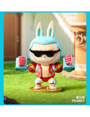 One Piece x Labubu Pop Mart exclusif asia