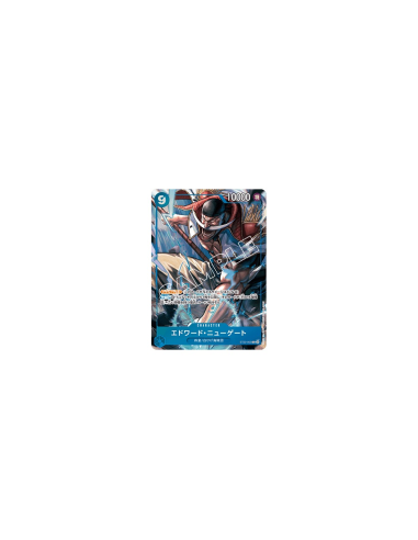 [Scellé] Jeu de cartes ONE PIECE Collection de...