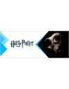 Figurines Pop Harry Potter