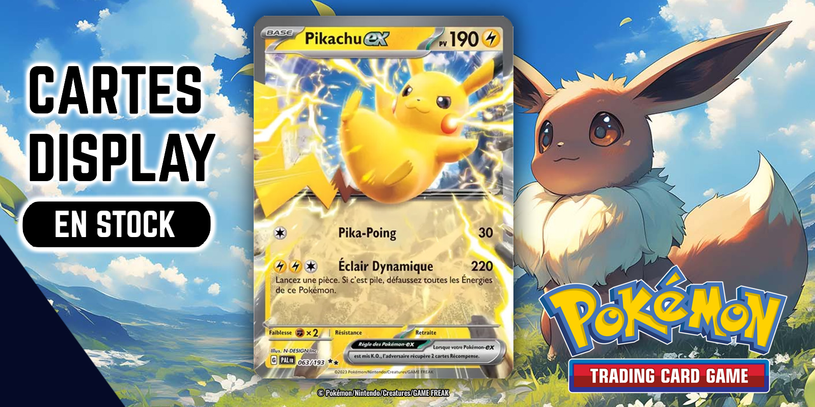 Pokemon Card Game - Cartes Display sur KYSEII.FR